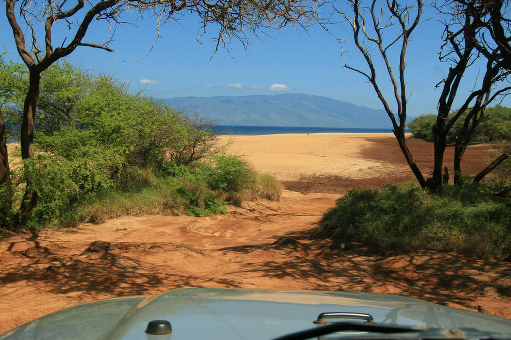 Lanai Vacation 2008 Day 2 Exploration In The Jeep