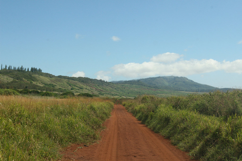 Lanai Vacation 2008 Day 2 Exploration In The Jeep