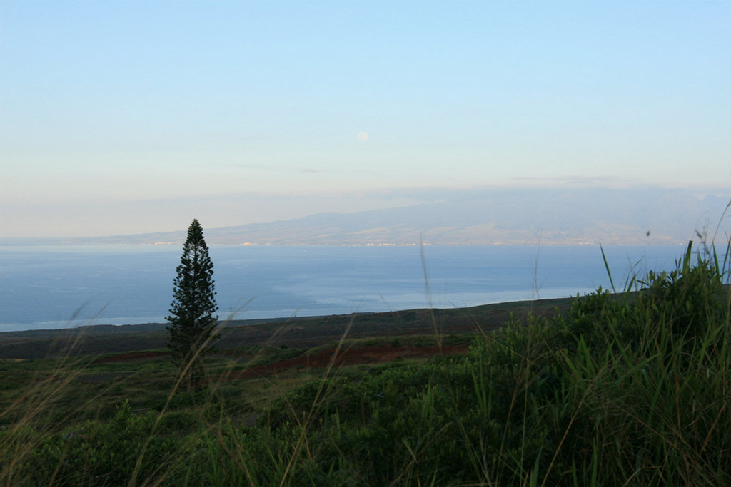 Lanai Vacation 2008 Day 2 Exploration In The Jeep