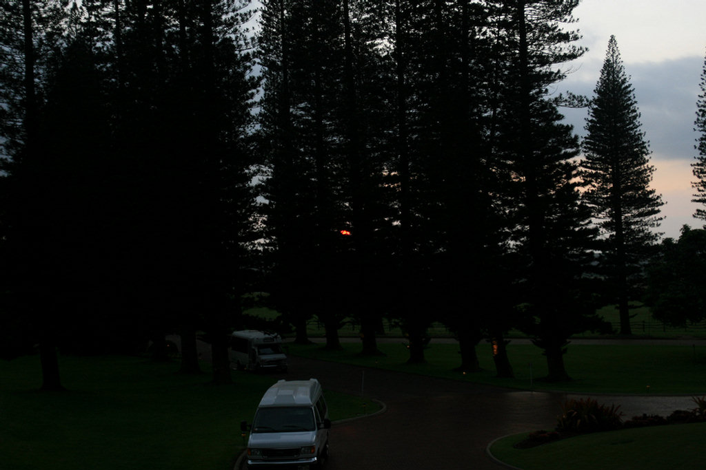 Lanai Vacation 2008 Day 2 Exploration In The Jeep