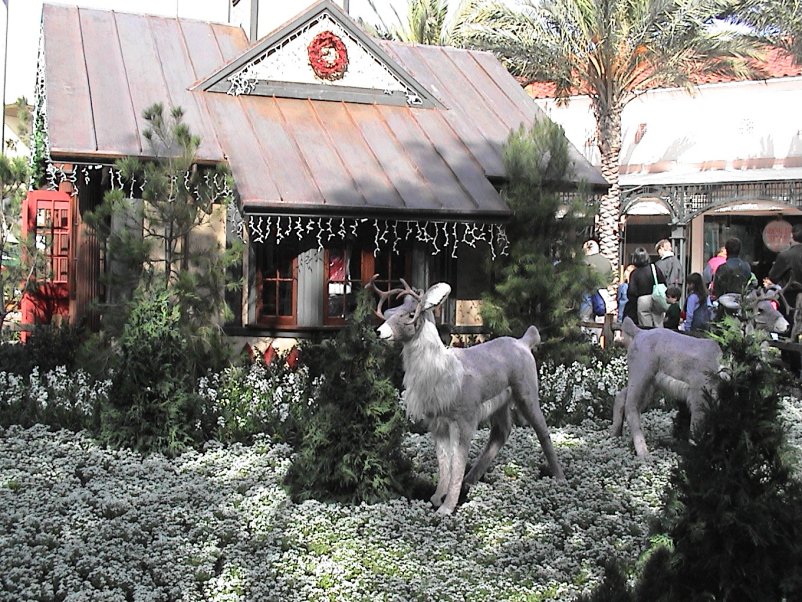 Jackie and Cassie go to Newport to visit Santa