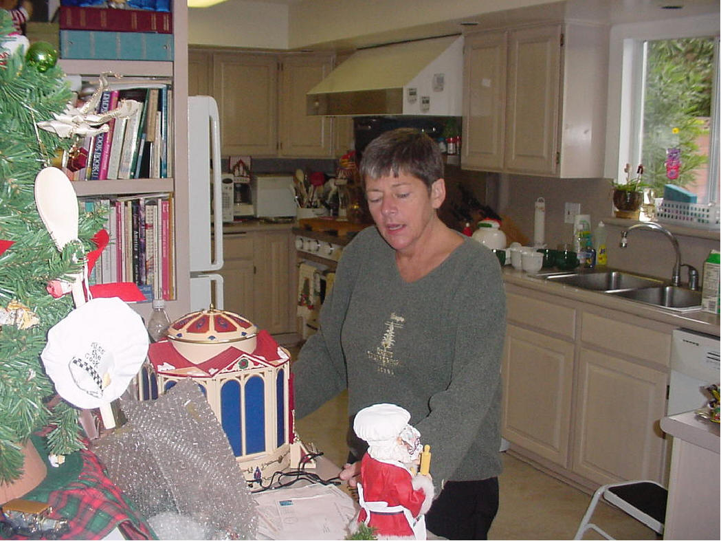 Decorating for Christmas 2001