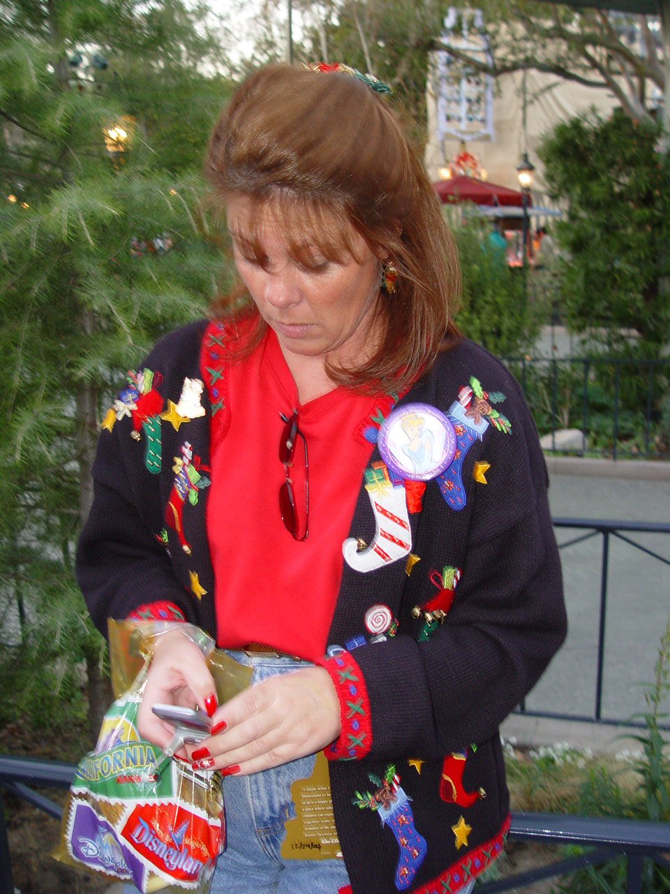 Disneyland  Christmas Eve 2004