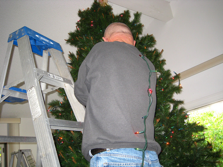 Decorating the house 2009