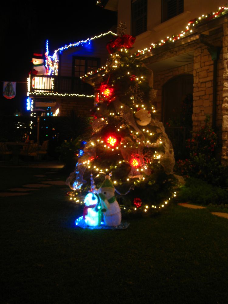 Annual Naples walk of lights 2010