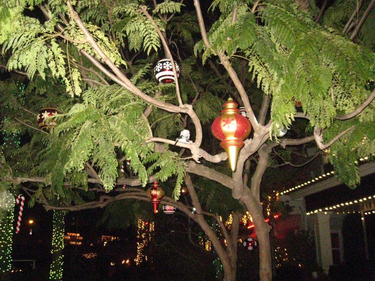 Annual Naples walk of lights 2010