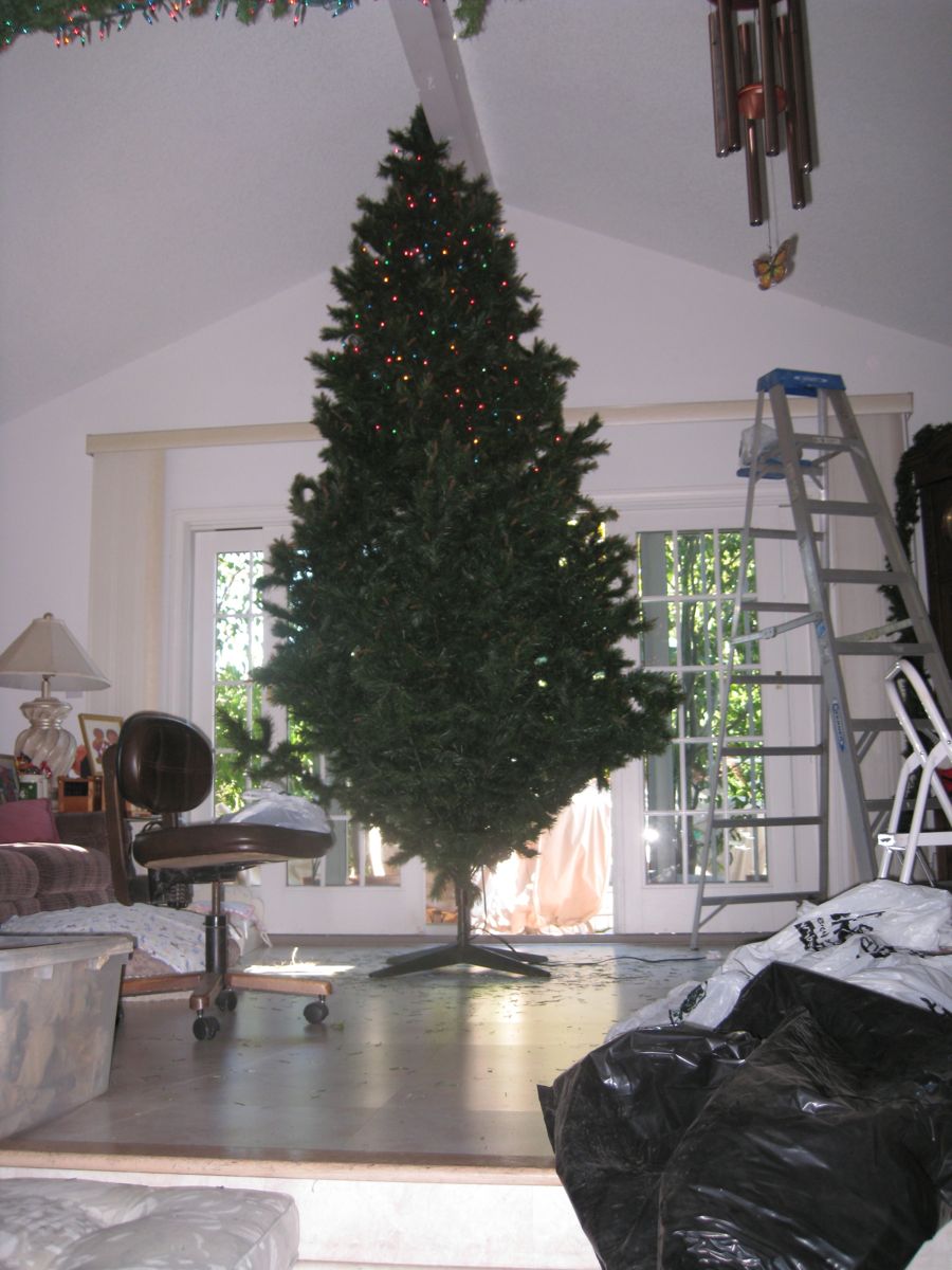 Decorating the tree November 2011