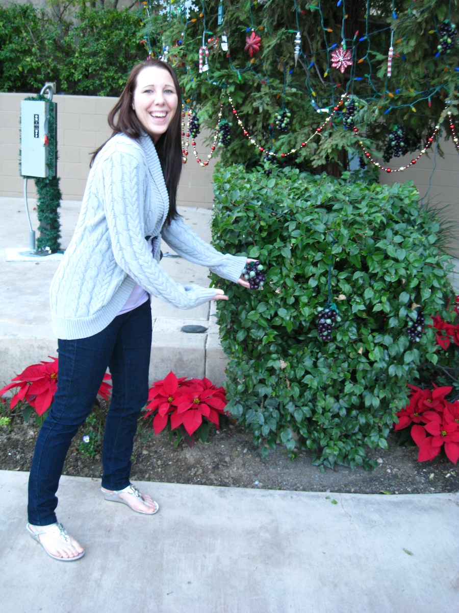 A visit to Falkner, Keyways, abd South Coast wineries in Temecula December 2012