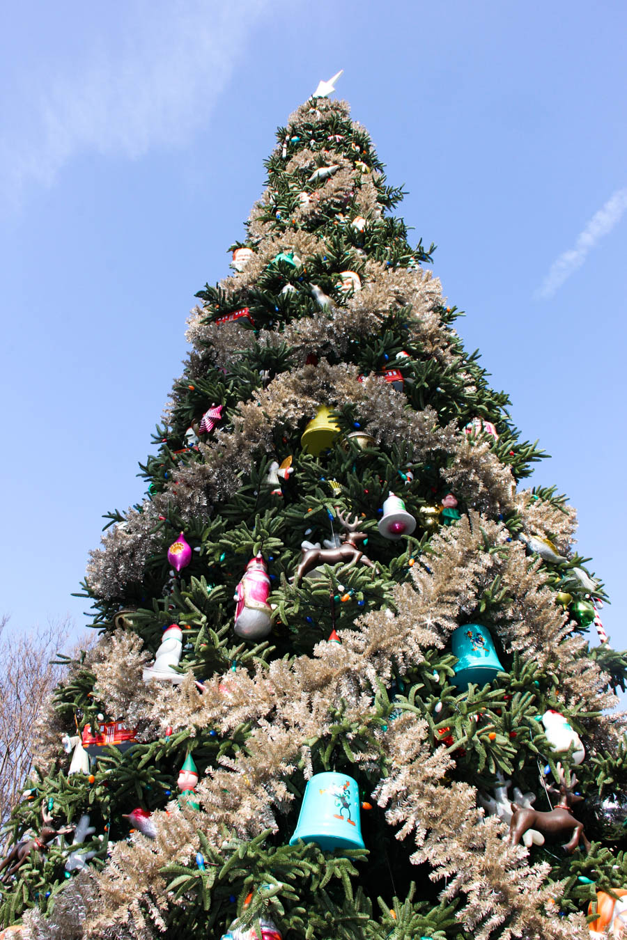 Christmas Eve 2018 Tour At Disneyland