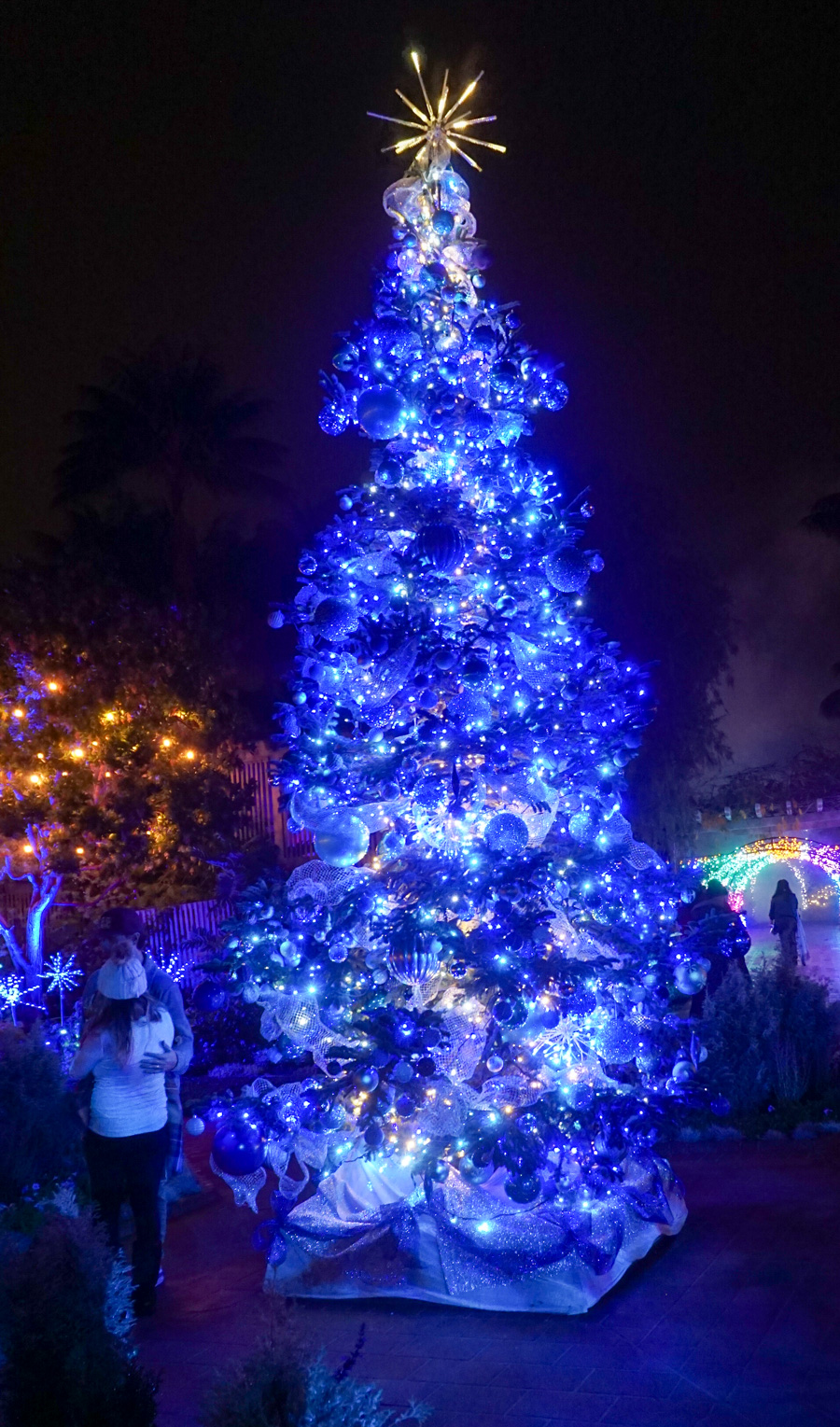 Night Of 10,000 Lights At Sherman Gardens