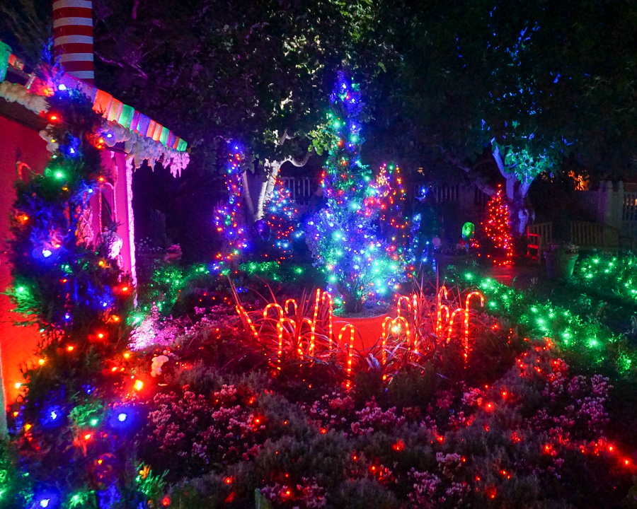 Night Of 10,000 Lights At Sherman Gardens