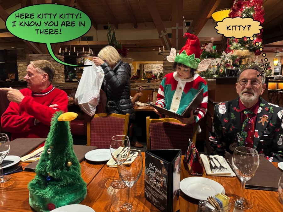 2025-11-30 alley Cats Christmas Show