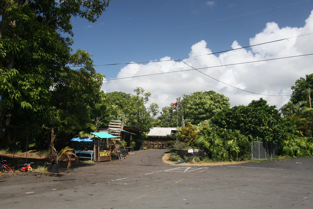 Waling The Lava Fields On Hilo