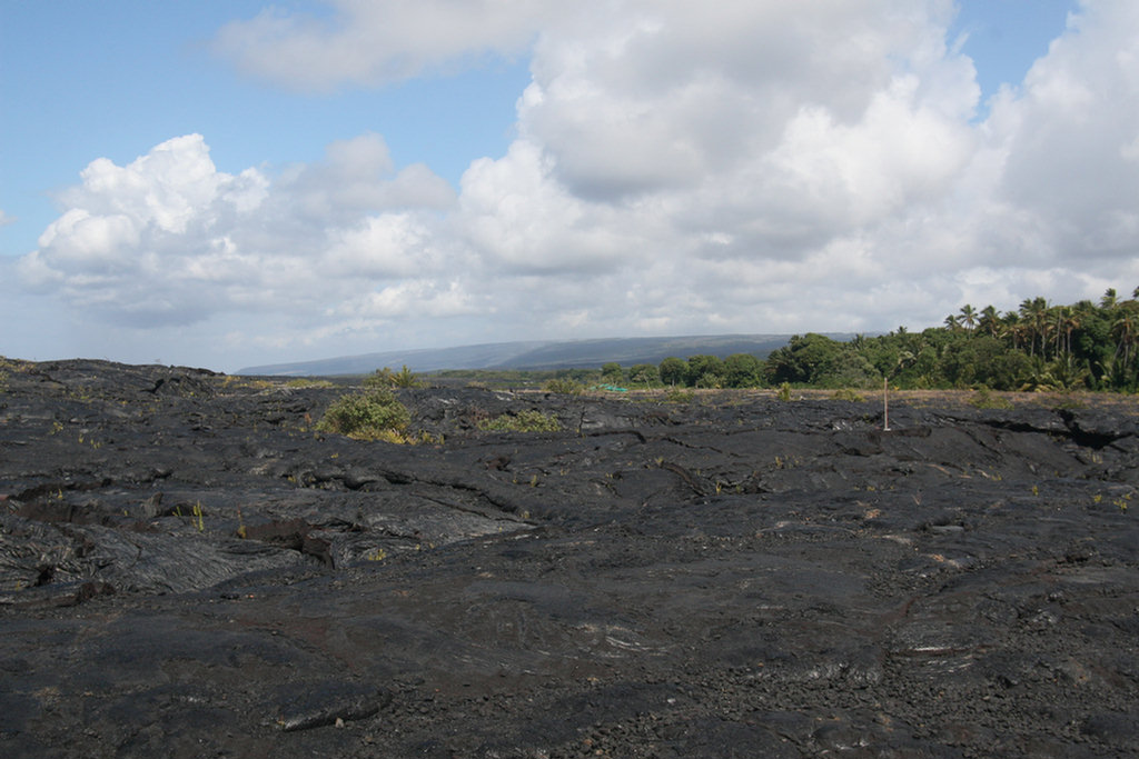 Waling The Lava Fields On Hilo