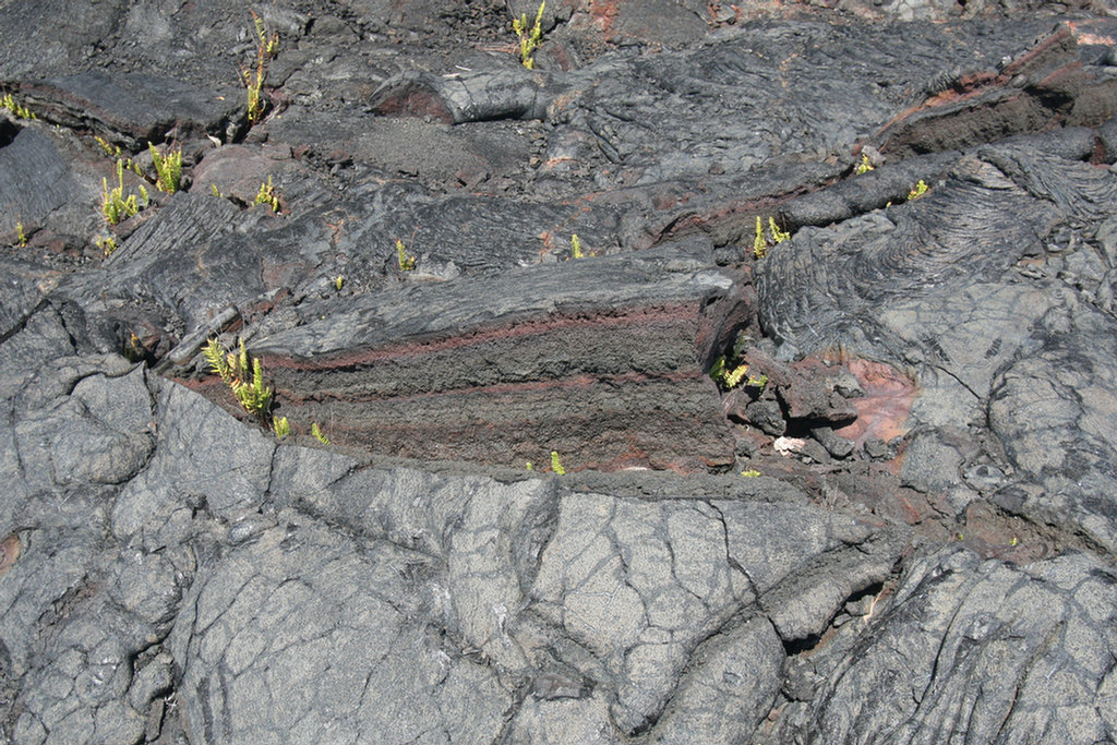 Waling The Lava Fields On Hilo