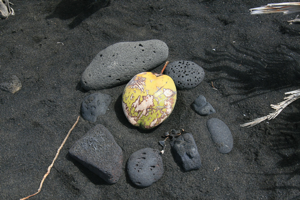 Waling The Lava Fields On Hilo