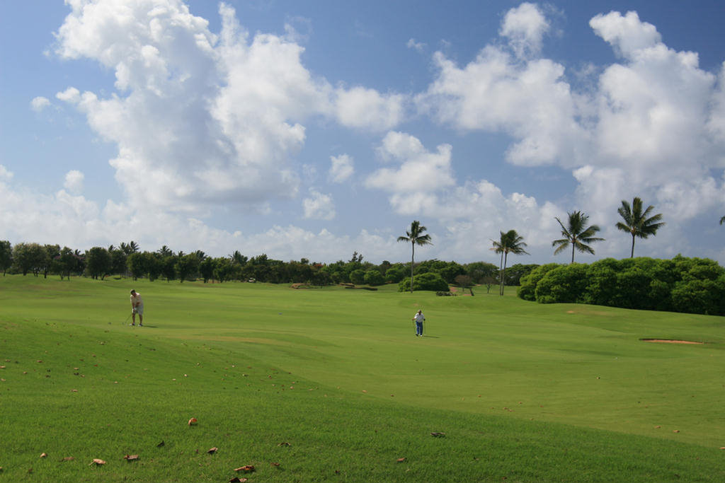 Kauai Hawaii Golf At The Plantation