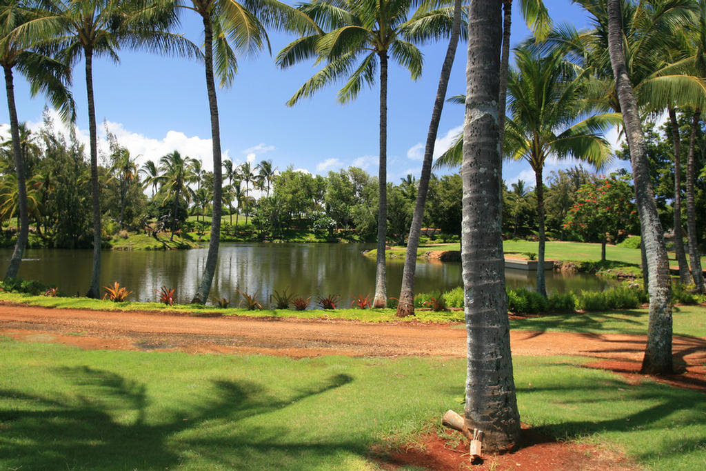 Kauai Hawaii Golf At The Plantation