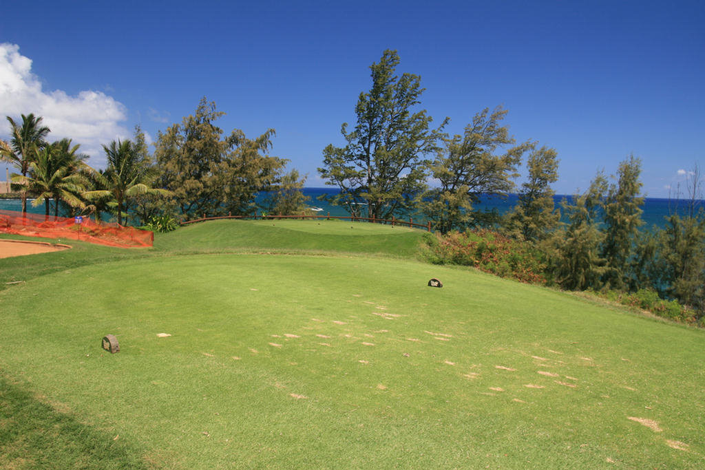 Kauai Hawaii Golf At The Plantation