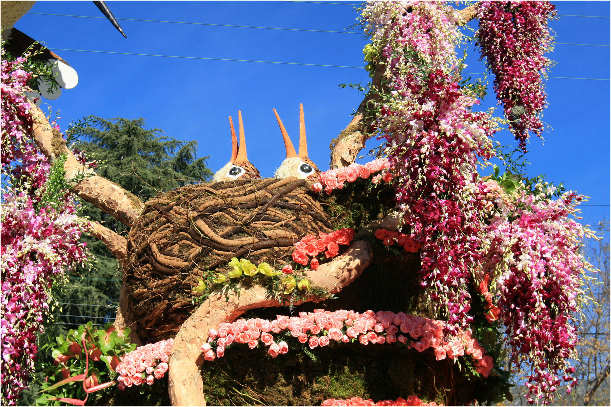 Rose Parade Walk  2007