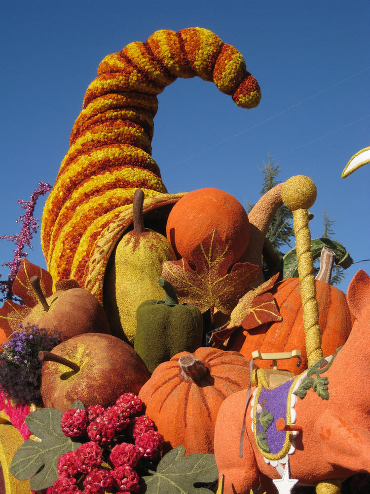 2010 Rose Parade Floats