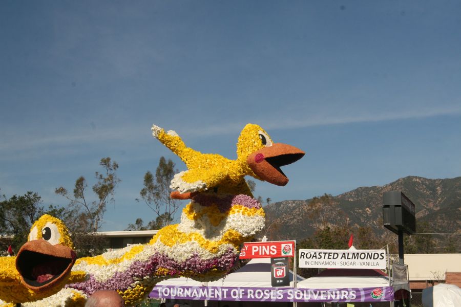 New Years 2012 Rose PArade floats