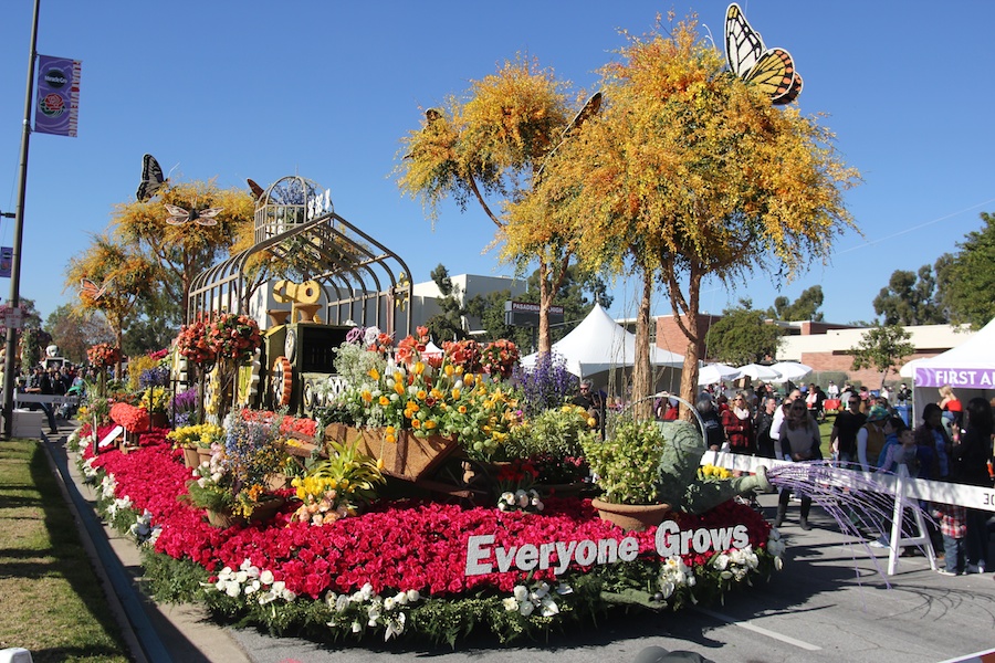 Rose Parade 1/2/2013