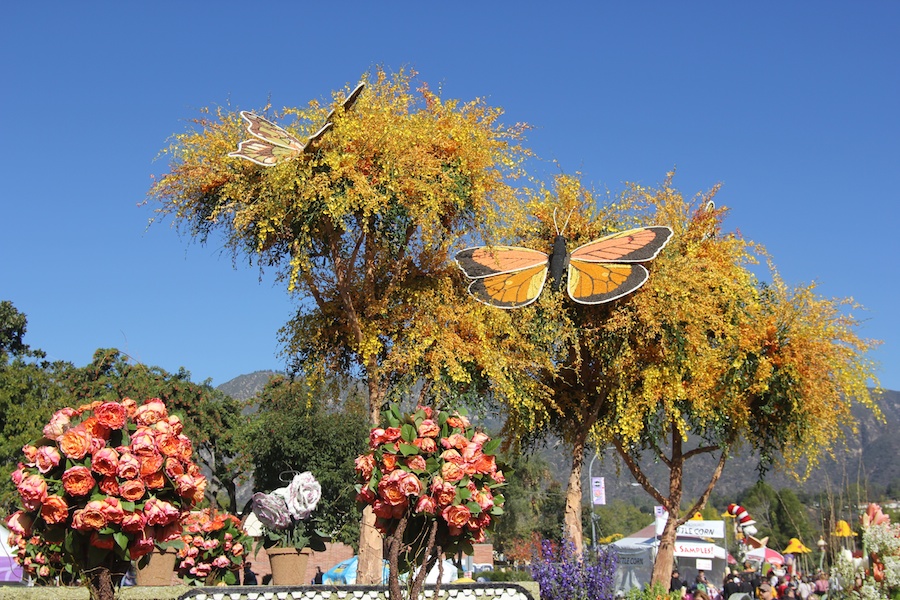 Rose Parade 1/2/2013