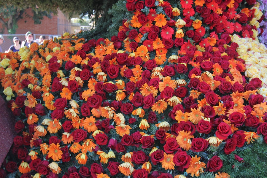 Rose Parade 1/2/2013