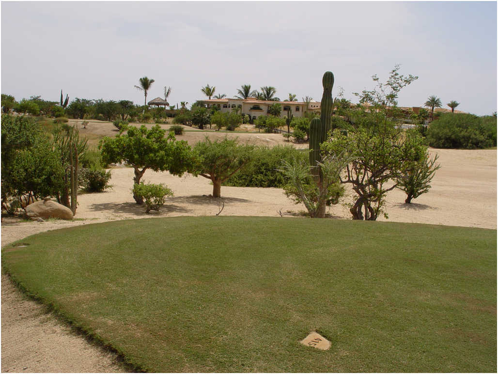 Golf In Cabo San Lucas