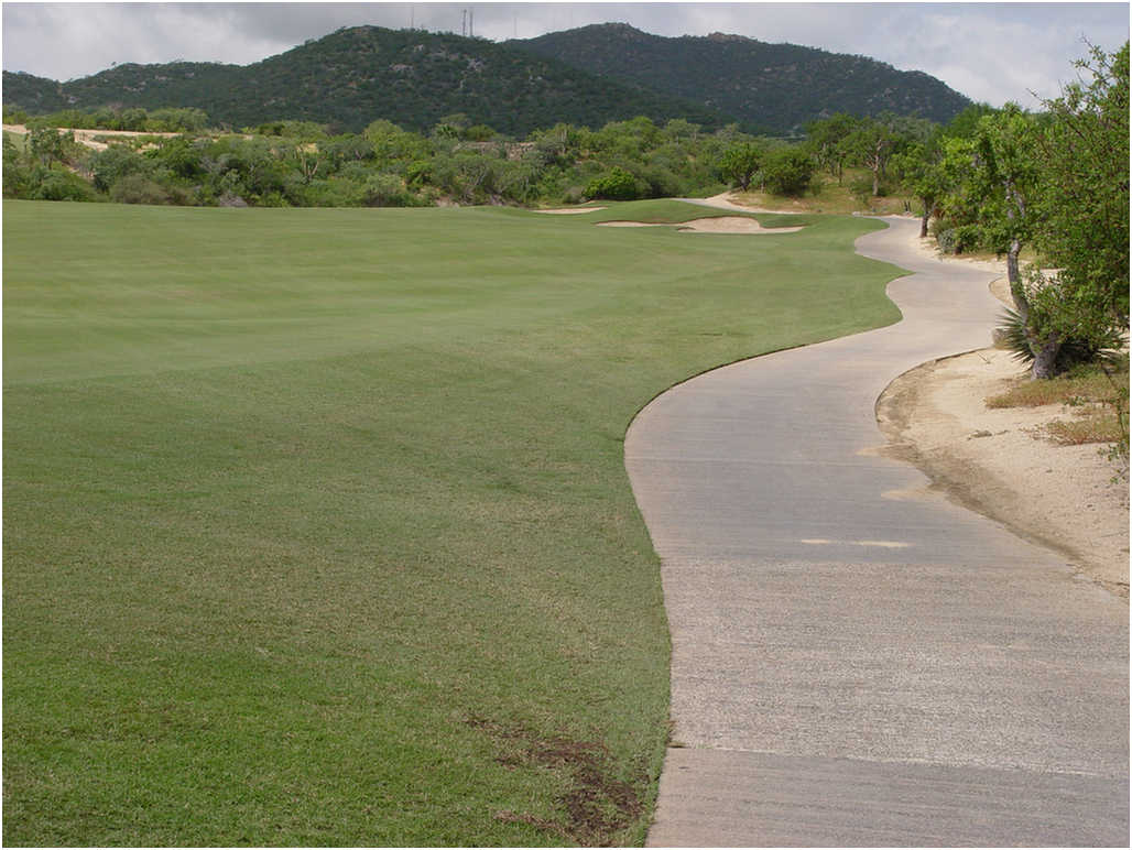 Golf In Cabo San Lucas