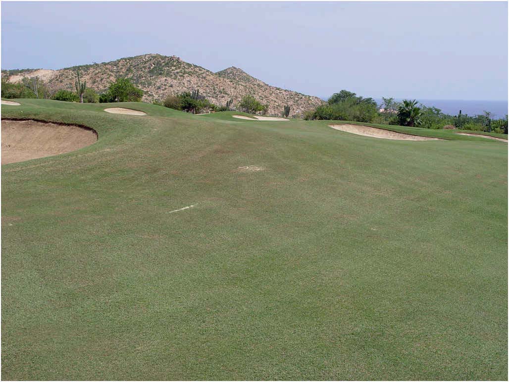 Golf In Cabo San Lucas