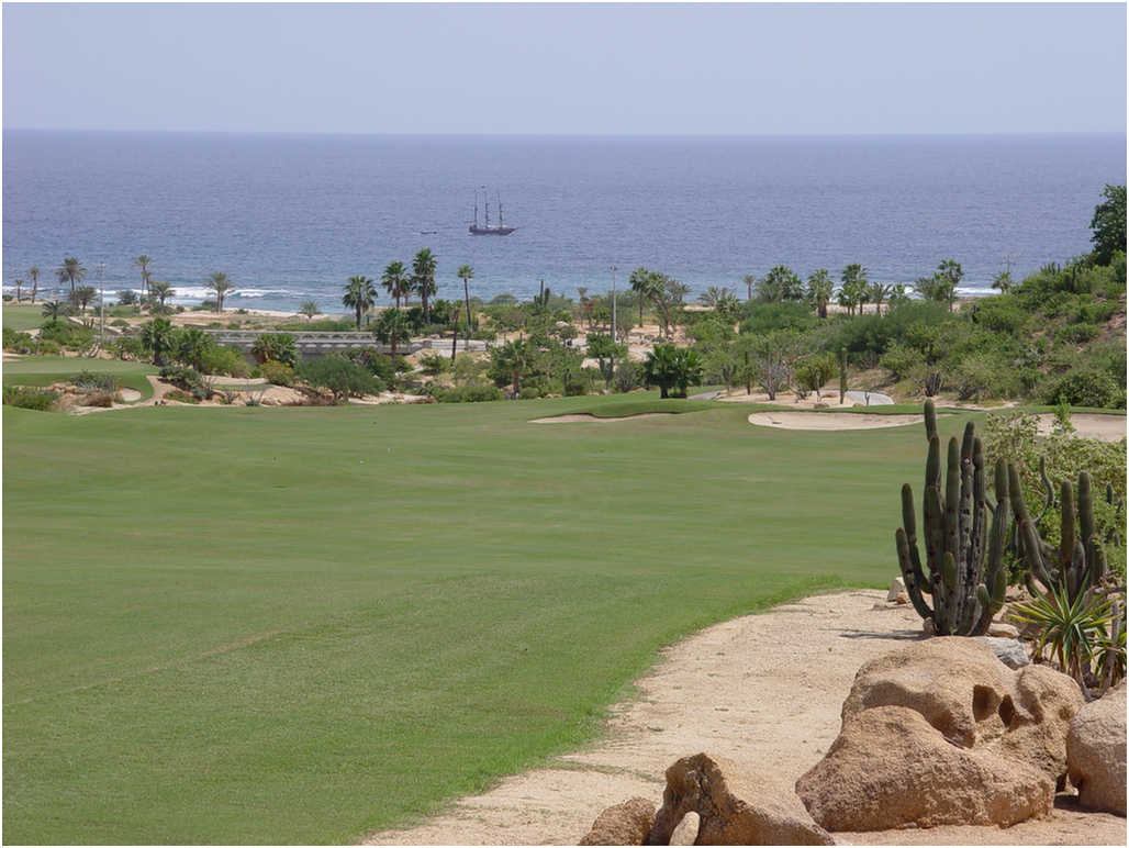 Golf In Cabo San Lucas