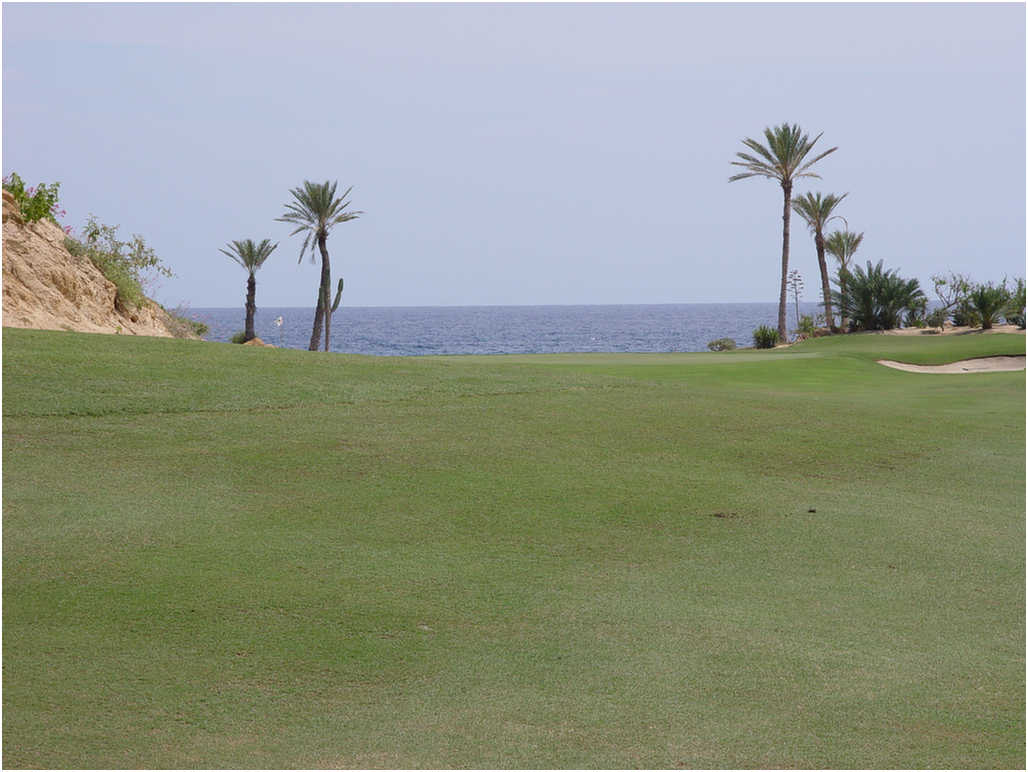 Golf In Cabo San Lucas