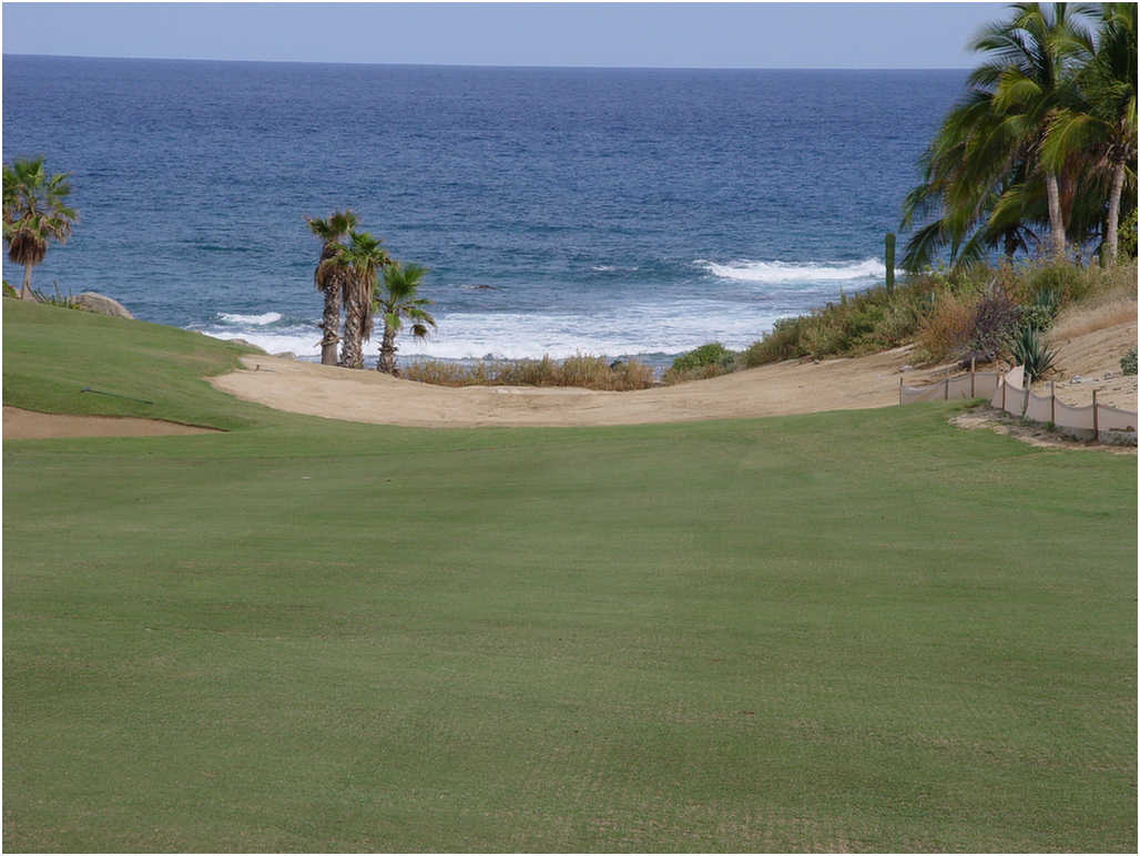 Golf In Cabo San Lucas