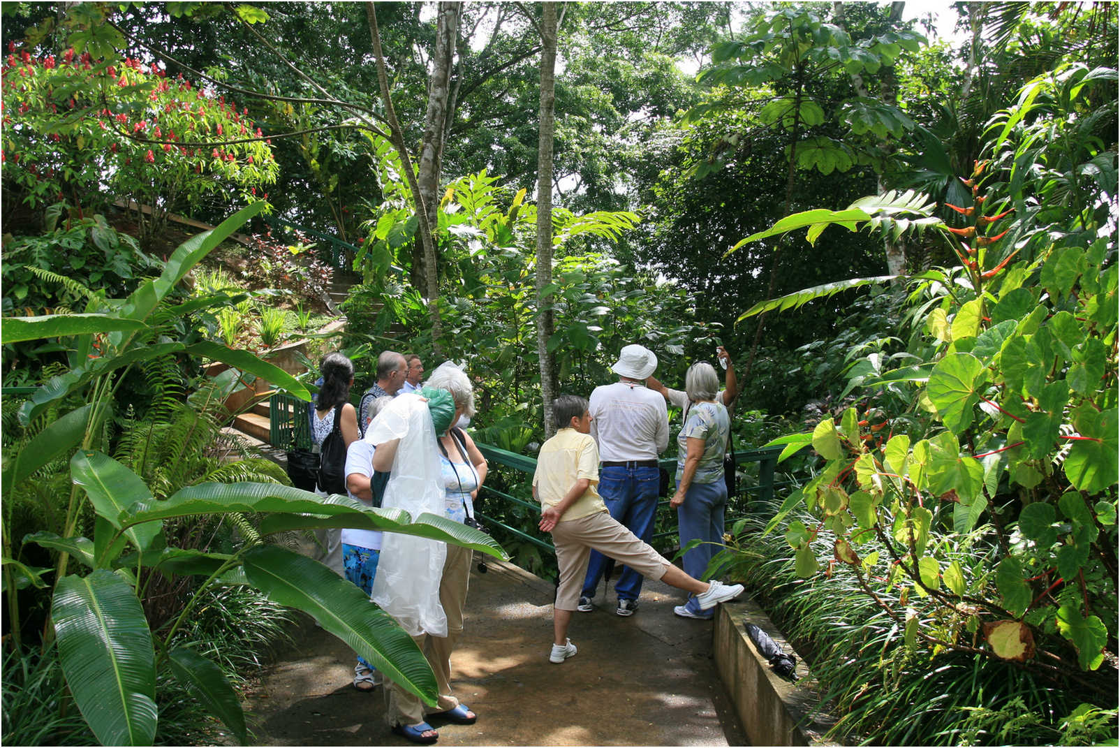 Costa Rican Rain Forects & Gardens