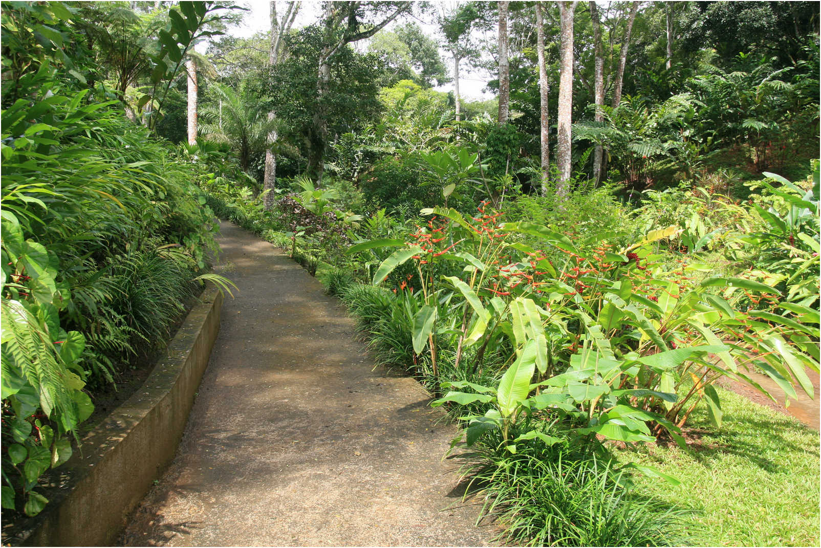 Costa Rican Rain Forects & Gardens