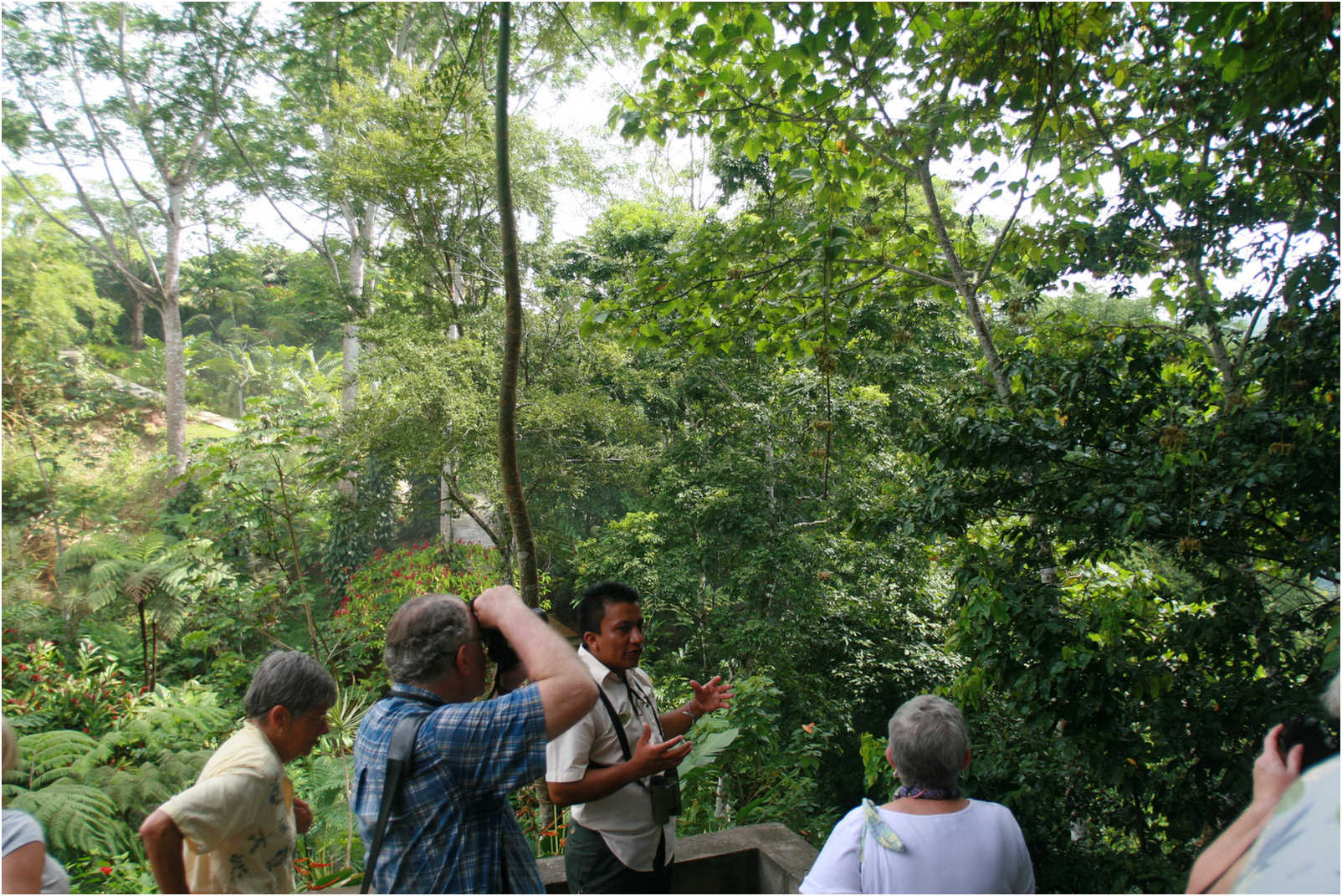 Costa Rican Rain Forects & Gardens