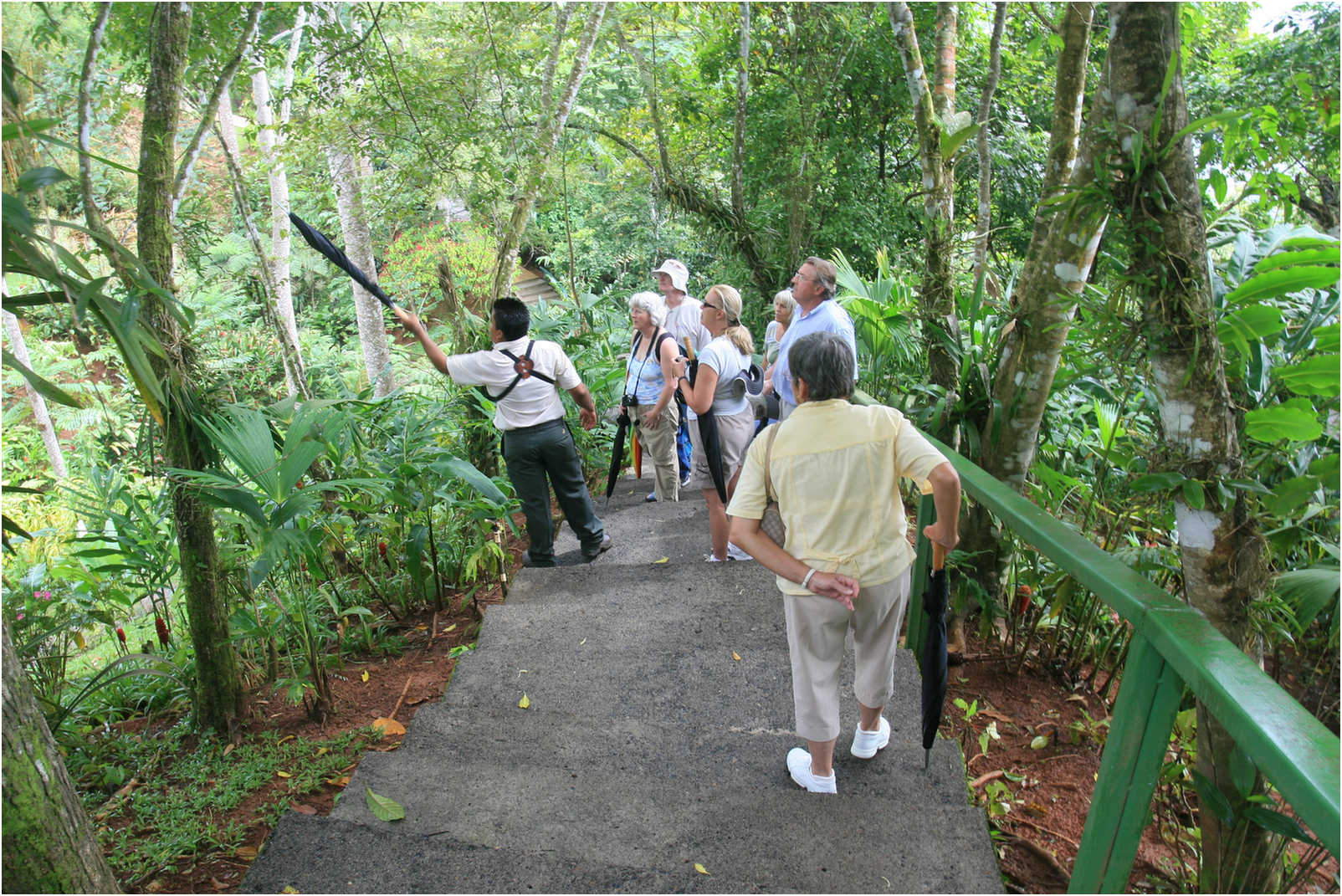 Costa Rican Rain Forects & Gardens