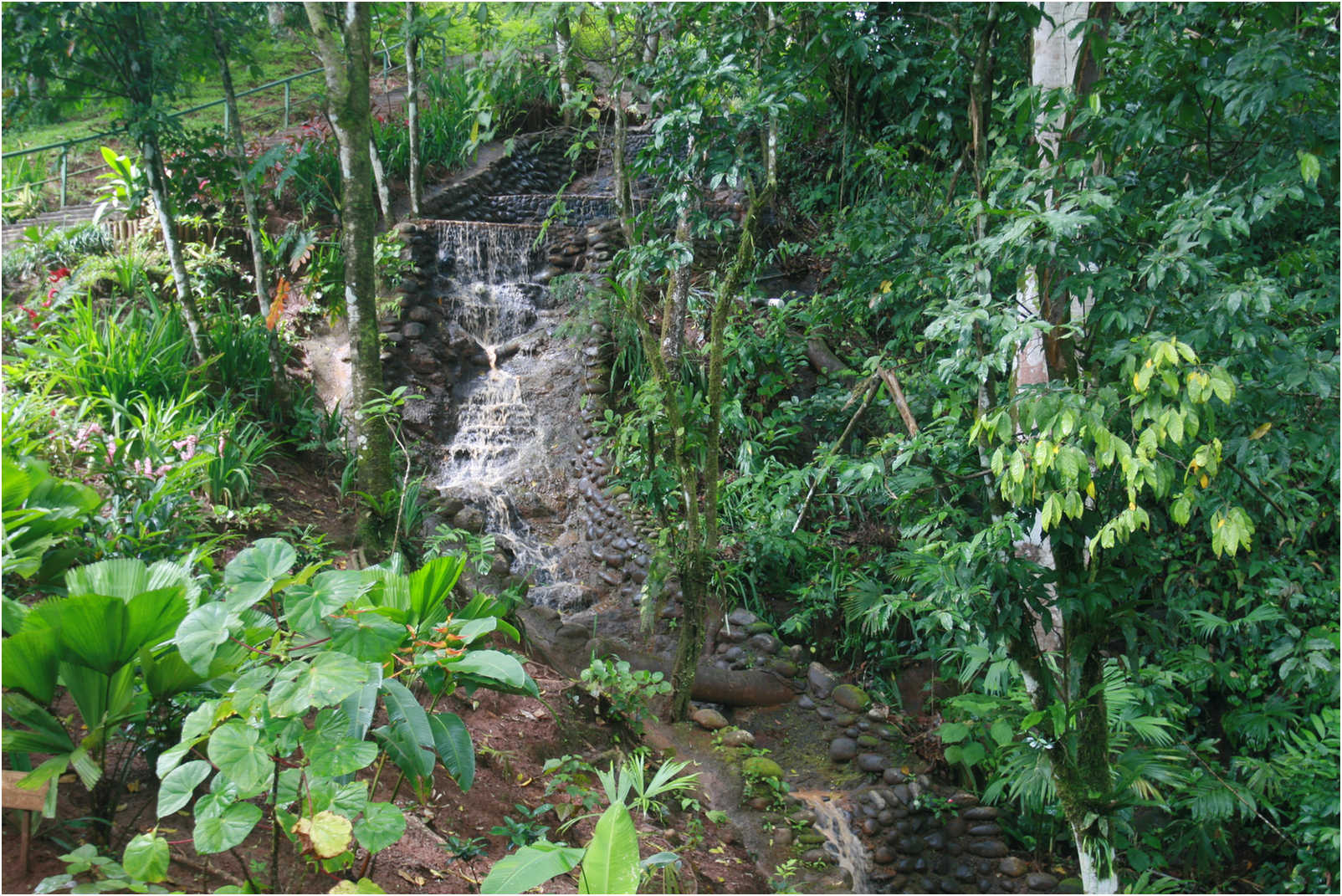 Costa Rican Rain Forects & Gardens