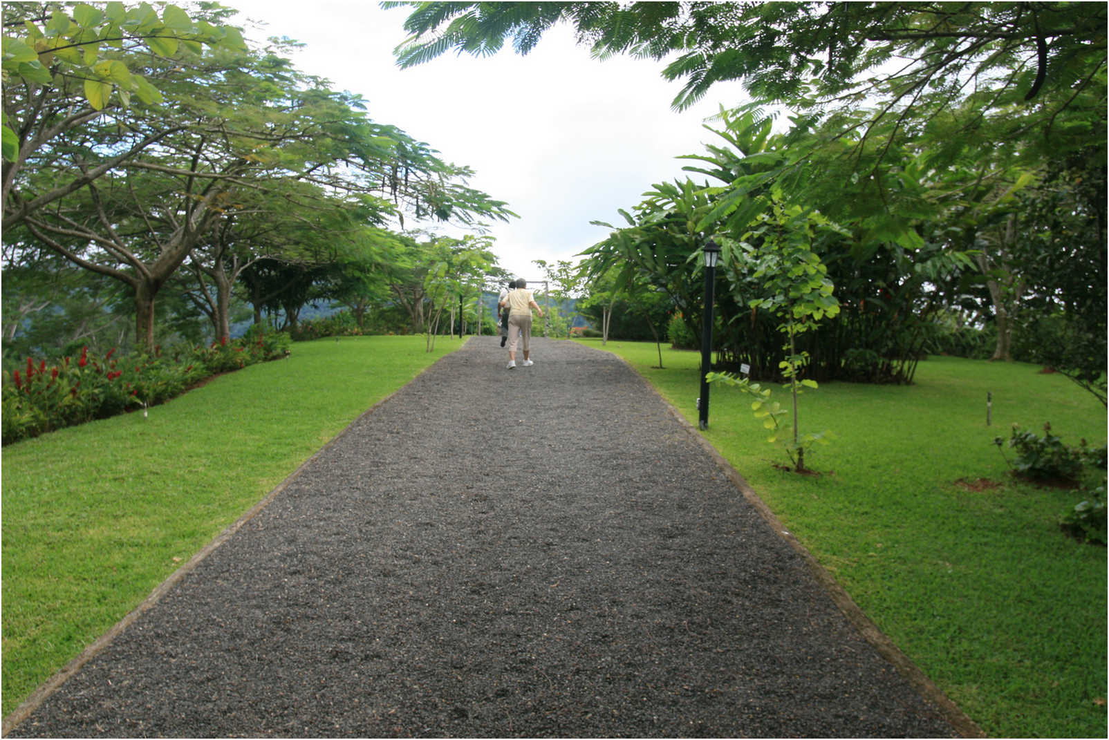 Costa Rican Rain Forects & Gardens