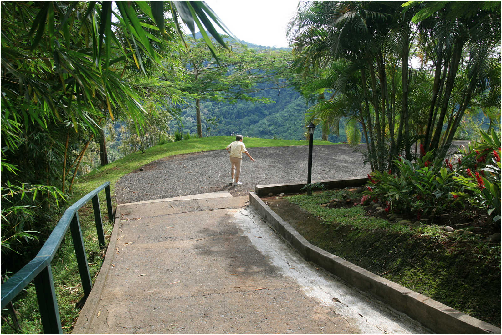 Costa Rican Rain Forects & Gardens