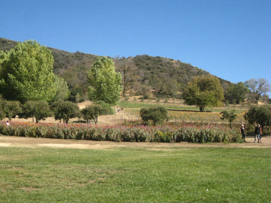 Apple picking in Oak Glen California October 2014