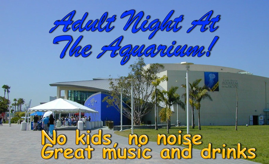 Adult Night at the aquarium August 2013