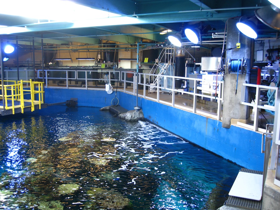 Aquarium and harbor cruise 2/27/2014
