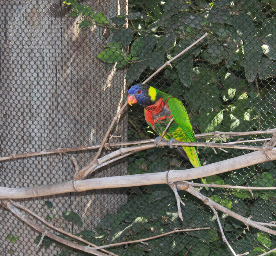 Aquarium Of The PAcific With Friends September 2014