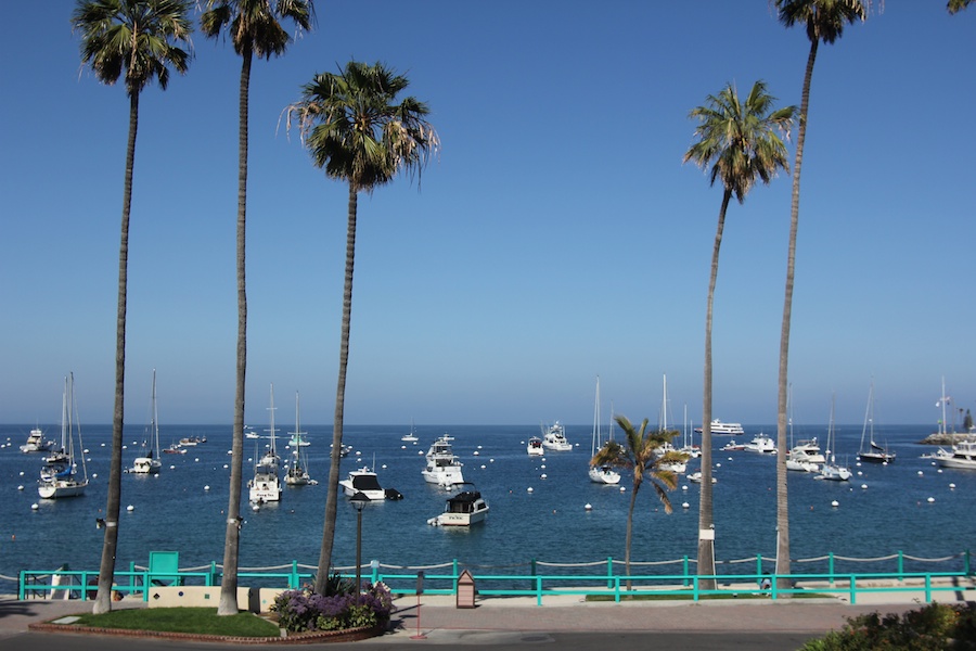 Going to Catalina May 10, 2013