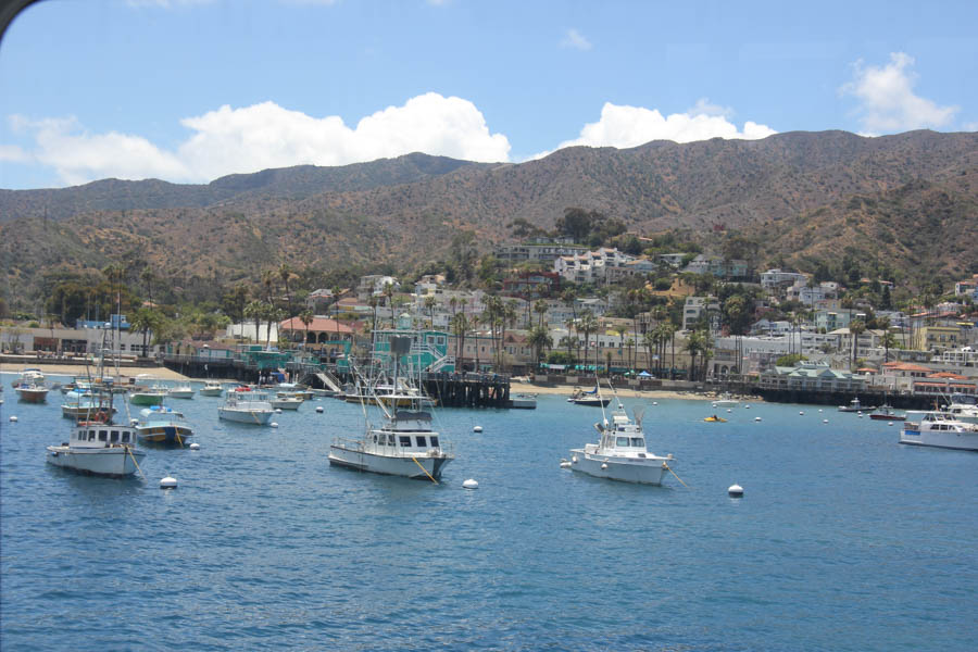 Traveling to Catalina May 15th 2015