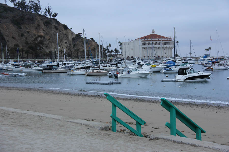 Saturday early morning walk on Avalon's main drag