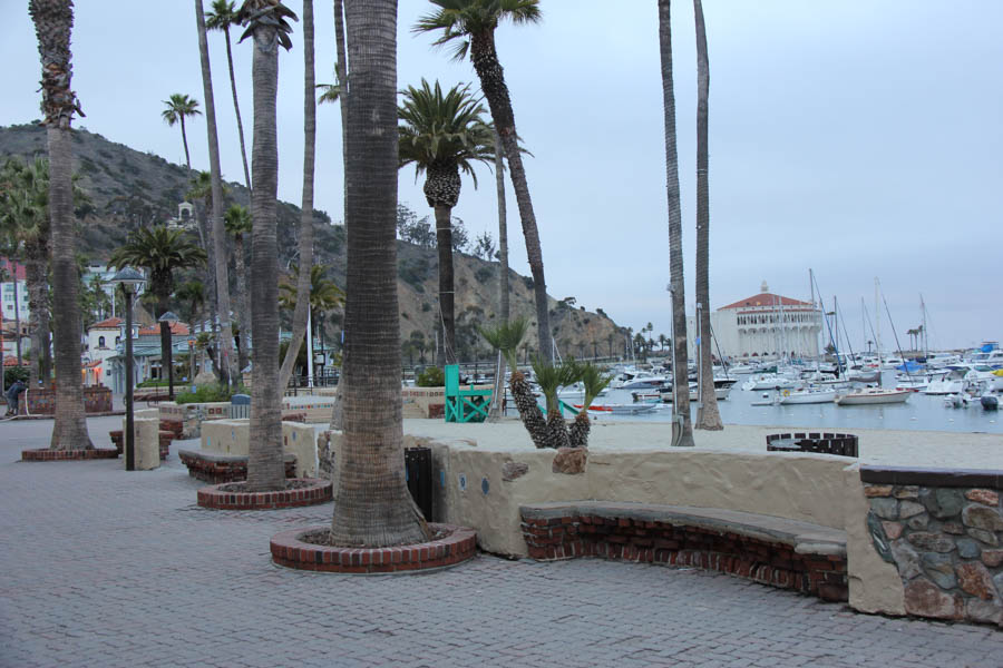 Saturday early morning walk on Avalon's main drag